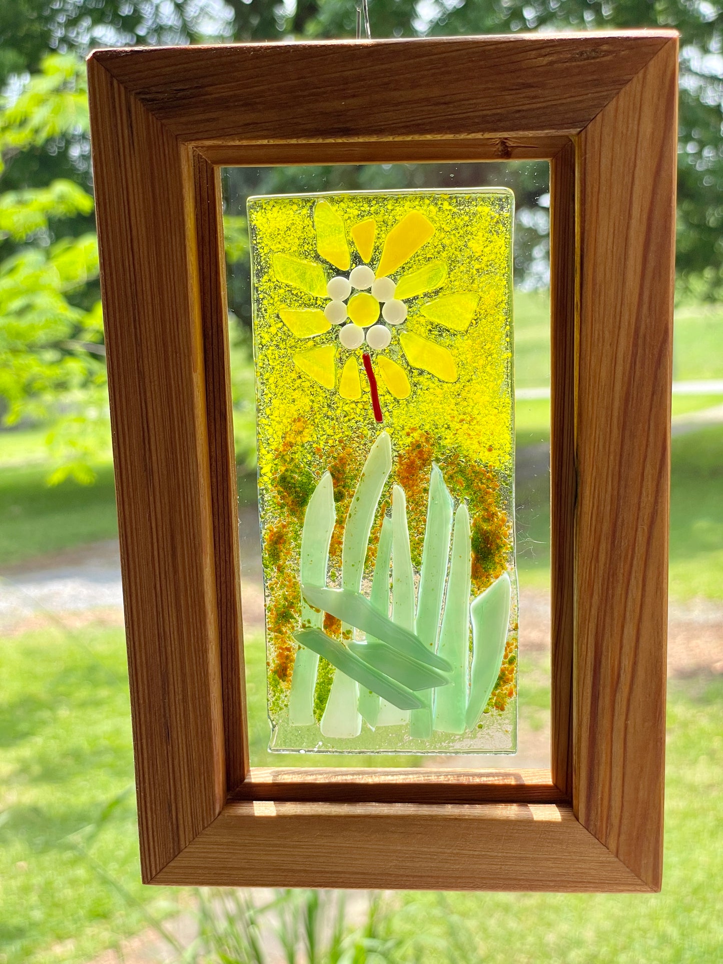 Framed yellow flower on fence