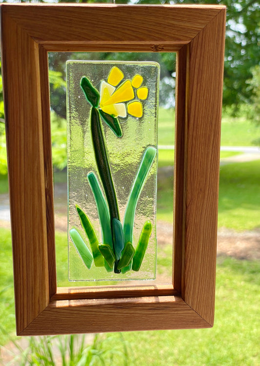 Framed daffodil flower